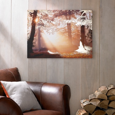 Home Accessories